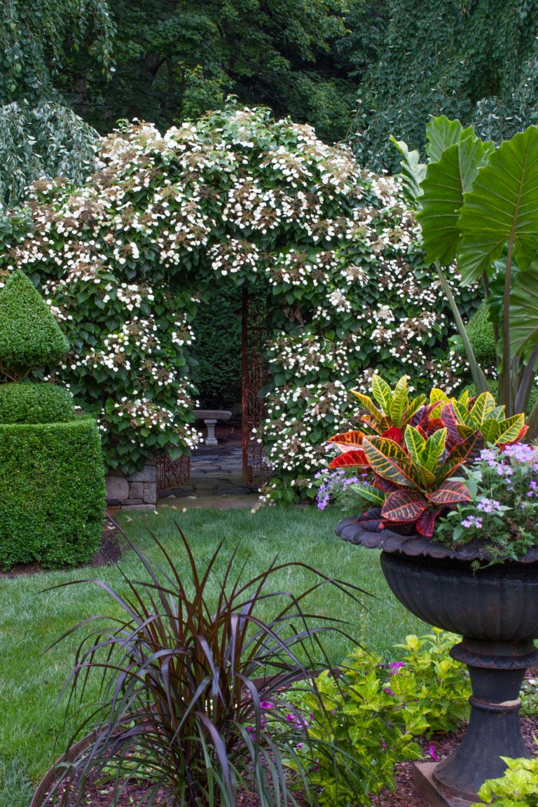 This is an example of a mid-sized traditional partial sun backyard landscaping in New York.
