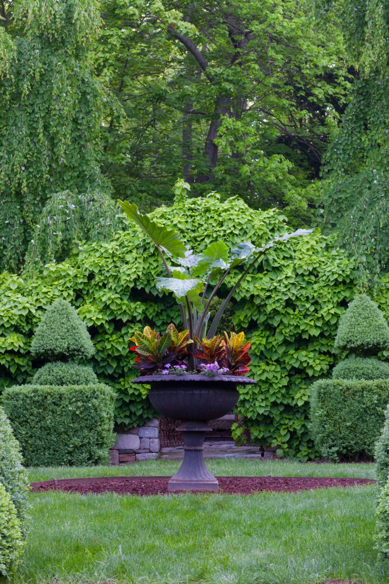 This is an example of a mid-sized traditional partial sun backyard mulch landscaping in New York for spring.