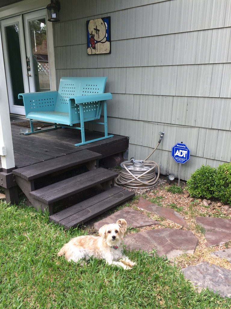 This is an example of a small back porch design in Houston. by zemptron | Outdoor Photos | Porch | Landscaping | Landscape Design | Outdoor Living Space | Porch Design Ideas | Outdoor Living Space Ideas | Backyard Design