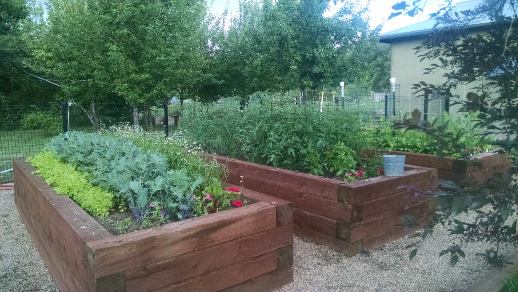 This is an example of a southwestern drought-tolerant and full sun backyard gravel garden path in Albuquerque for summer.