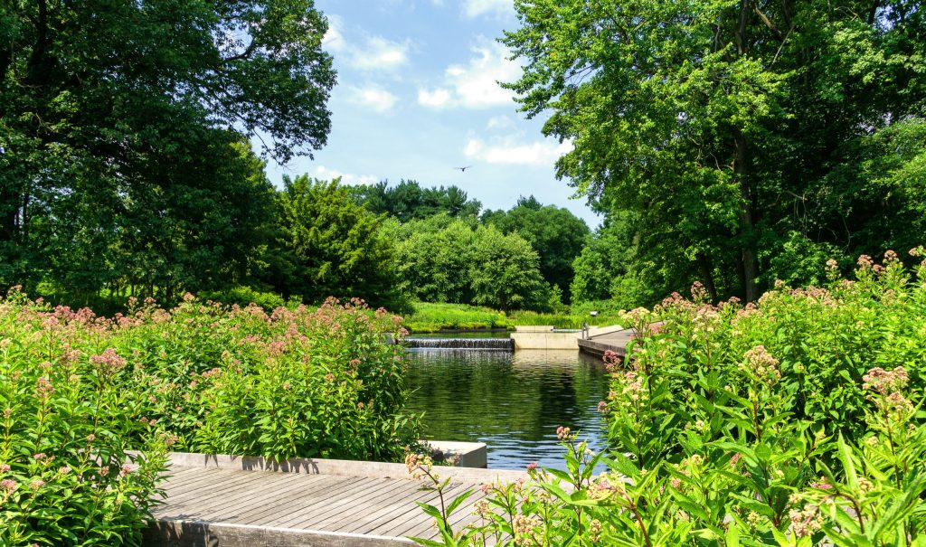 This is an example of a traditional backyard pond in New York with decking.