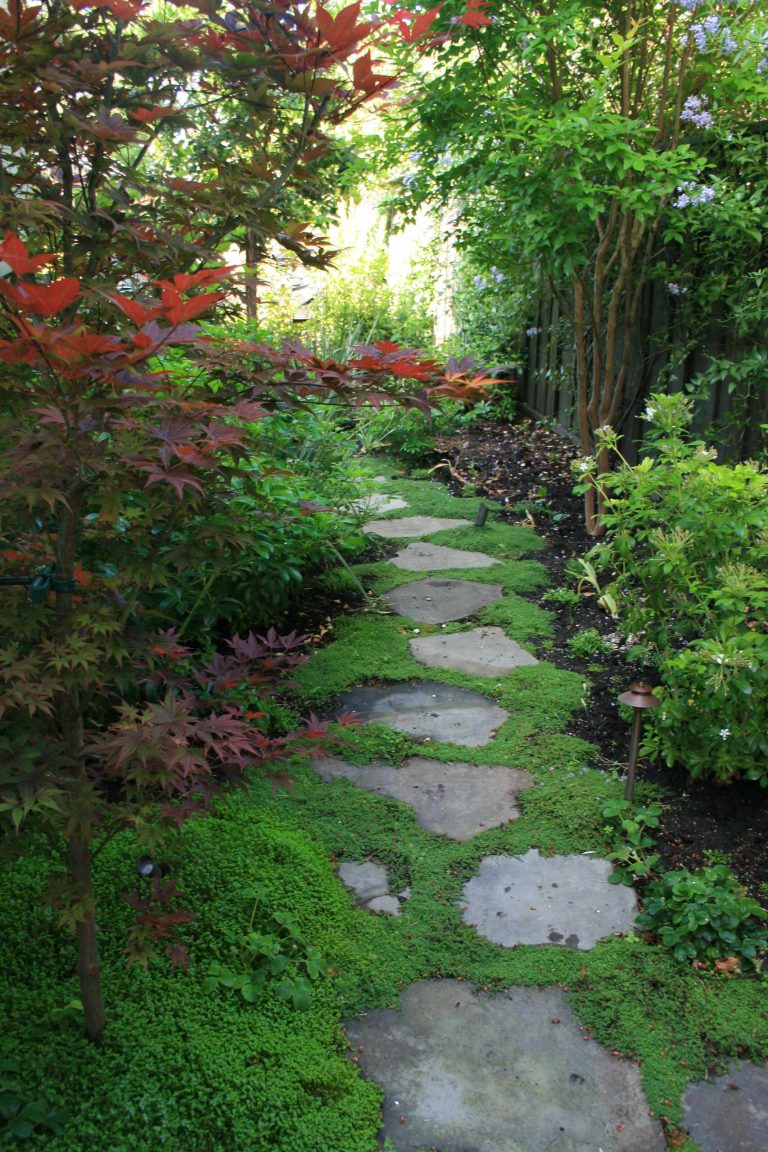 This is an example of a traditional shade backyard stone landscaping in San Francisco for fall.
