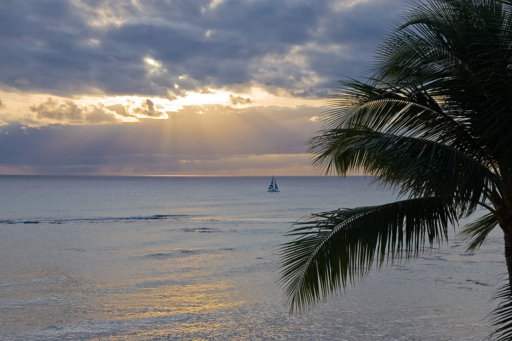 Trendy porch idea in Hawaii by FLOCUS STUDIO | Outdoor Photos | Porch | Landscaping | Landscape Design | Outdoor Living Space | Porch Design Ideas | Outdoor Living Space Ideas | Backyard Design