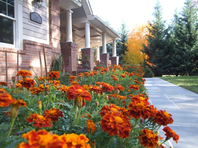 Walking up to this Westfield home, along a pathway of bluestone and warm inviting marigolds. Photo Credit: N. Leonard