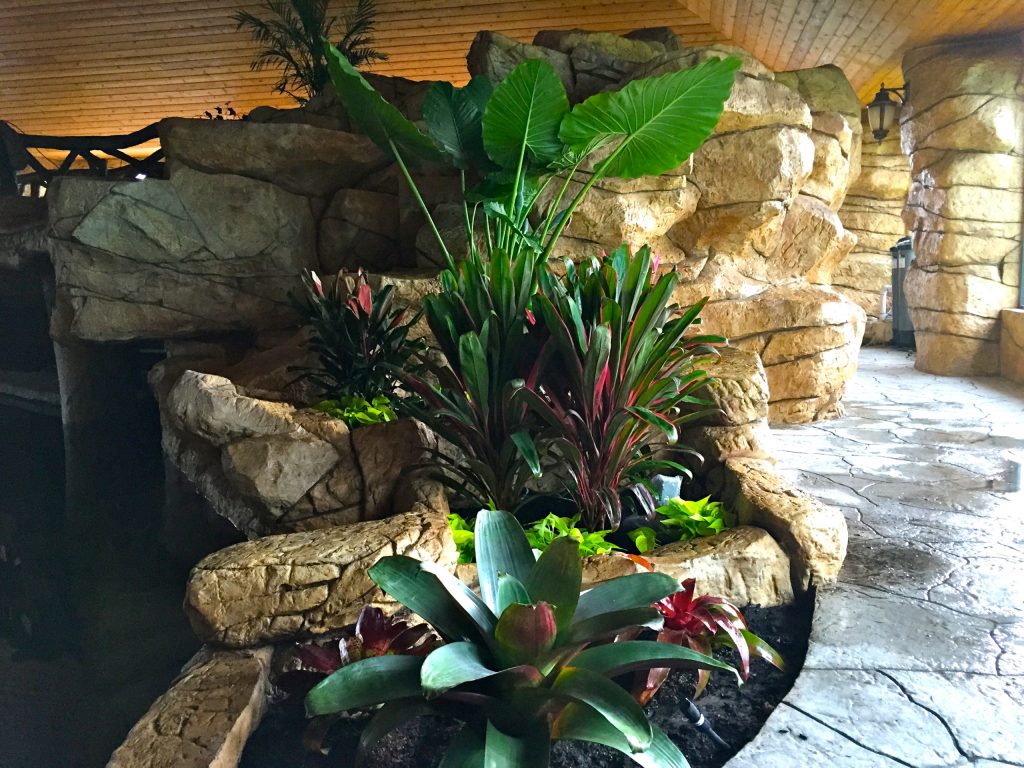 Waterfall plantings with large tropical accents. Landscape designed and installed by Construction Landscape, Jennifer Bevins 772-492-8382.