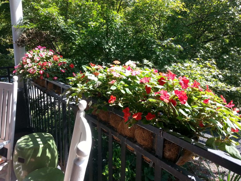Wrought iron planters attached to iron railing on covered porch.