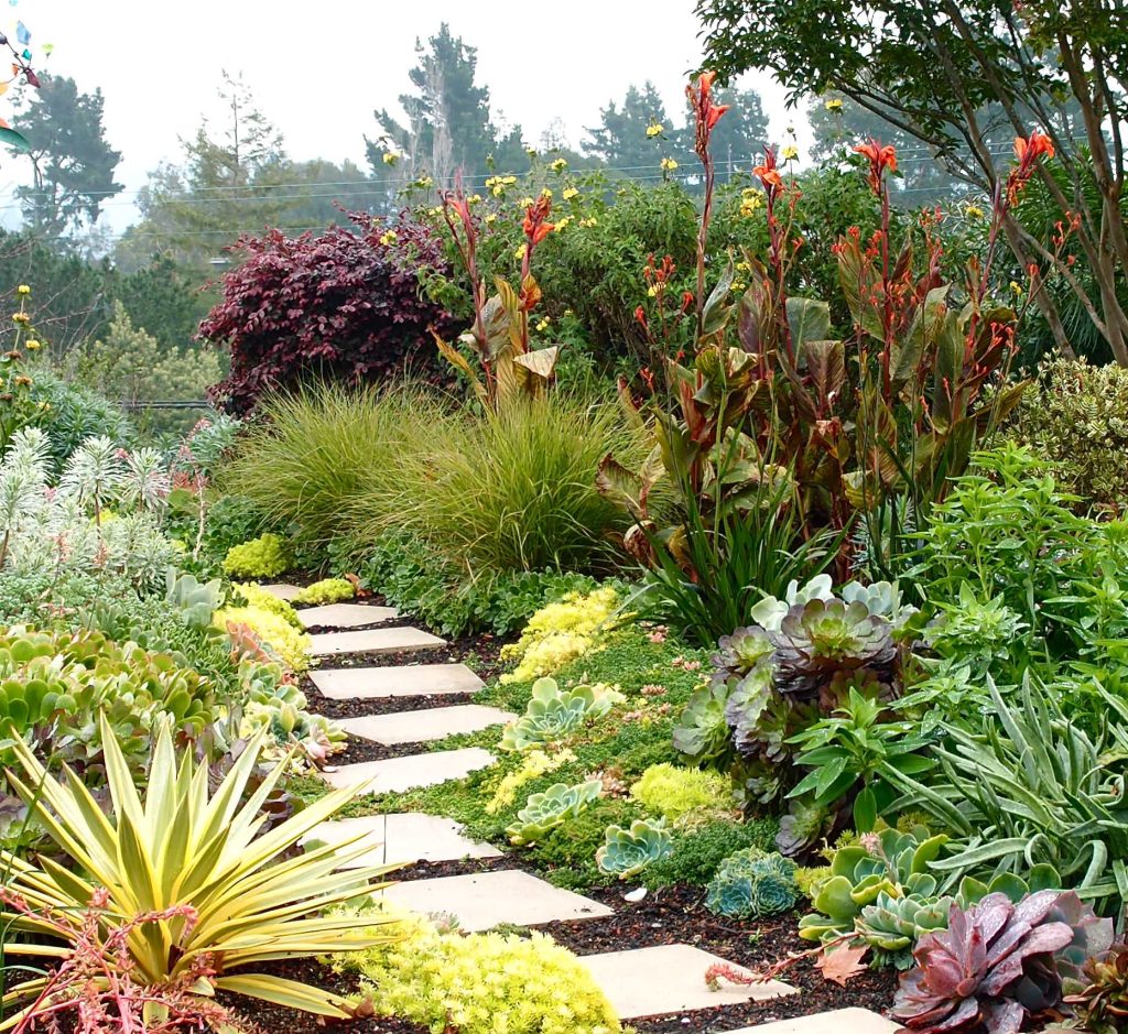 a cast stone path wanders threw a garden of succulents, cannas, ornamental grasses and subtropicals