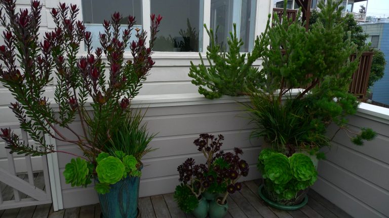 all photos by Piotr Mazurek