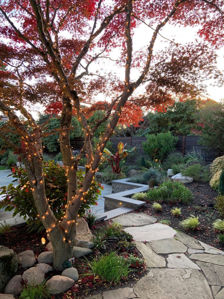 intimate patio update to this cottage style home creates a modern outdoor entertainment space.