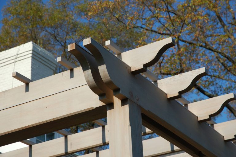 photo by Timothy Clites