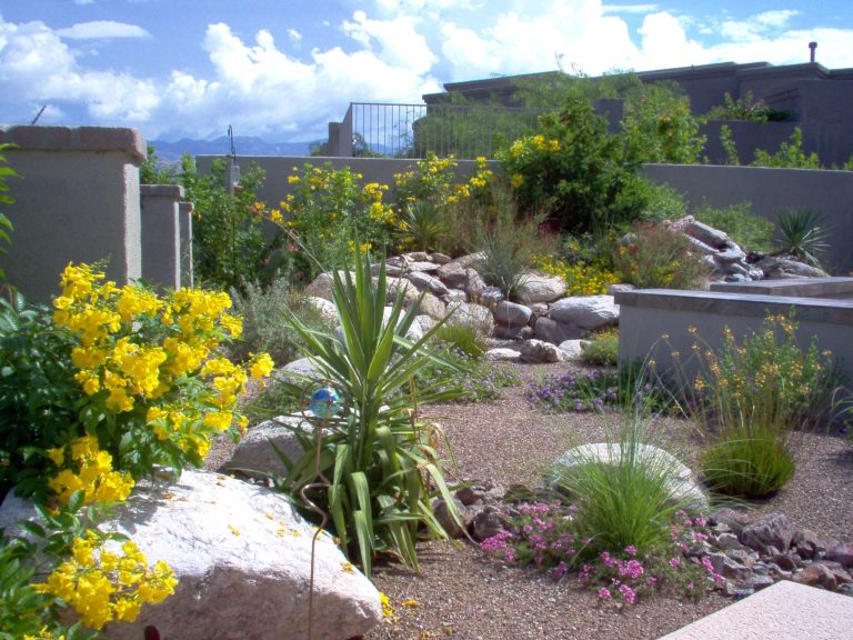 Photo of a mid-sized contemporary backyard stone landscaping in Phoenix with a fire pit.